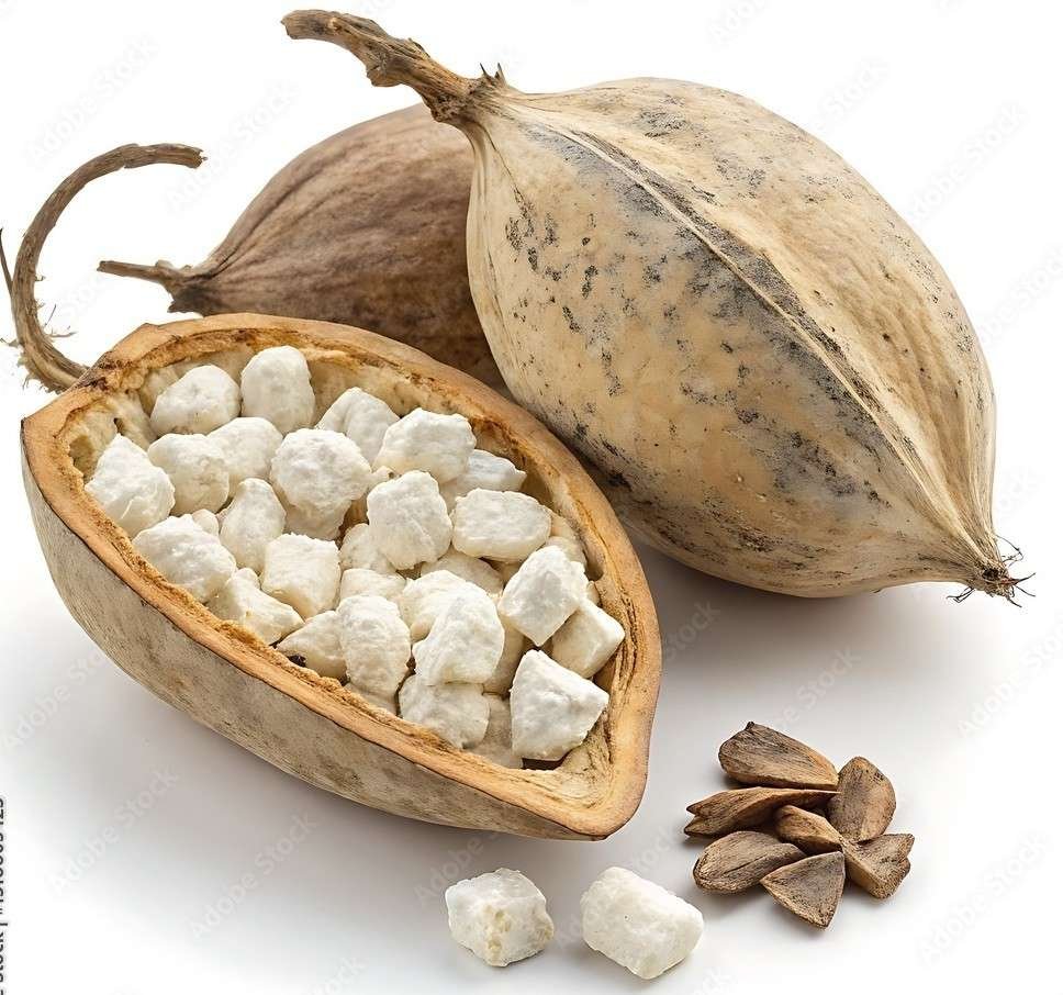 Baobab Fruit