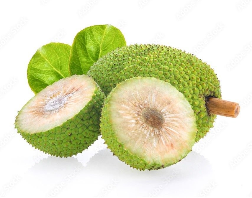 Breadfruit