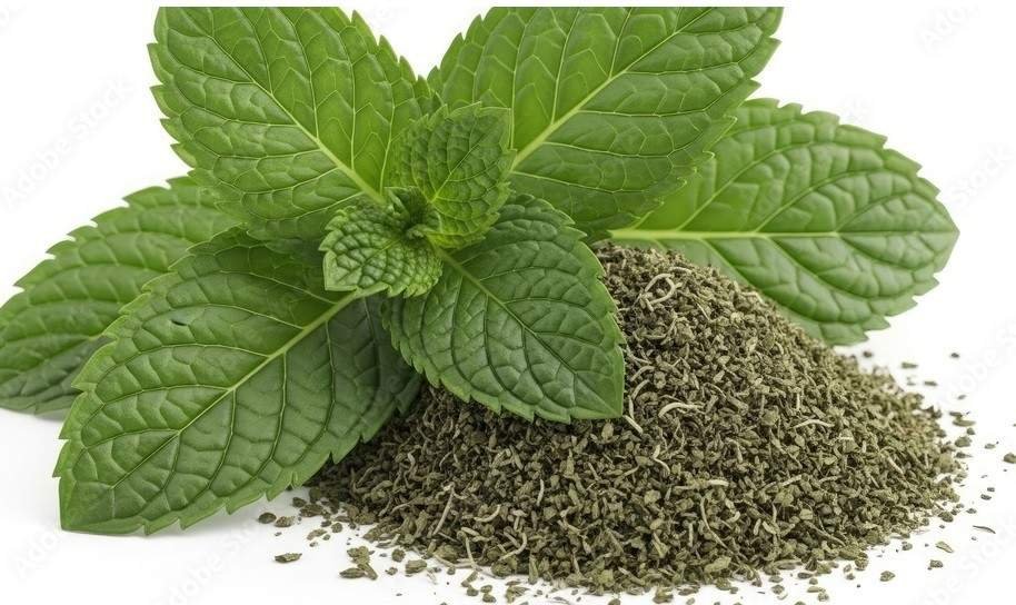 Dried Mint