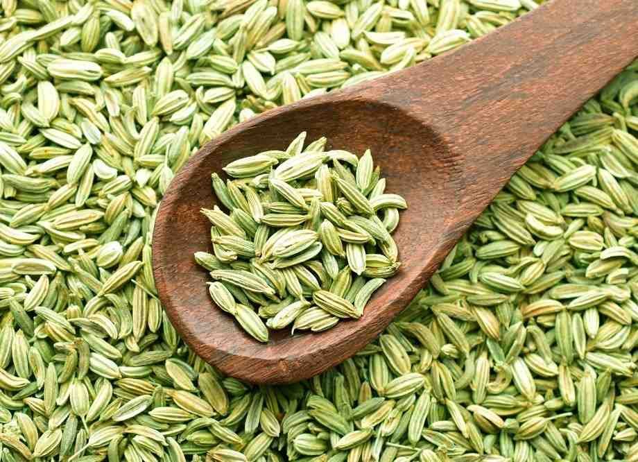 Fennel Seeds