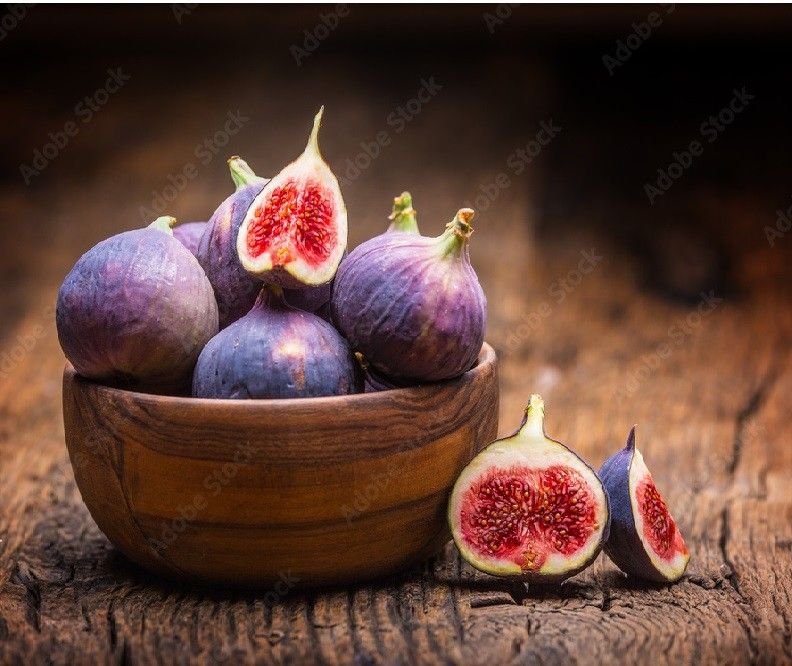 Fig