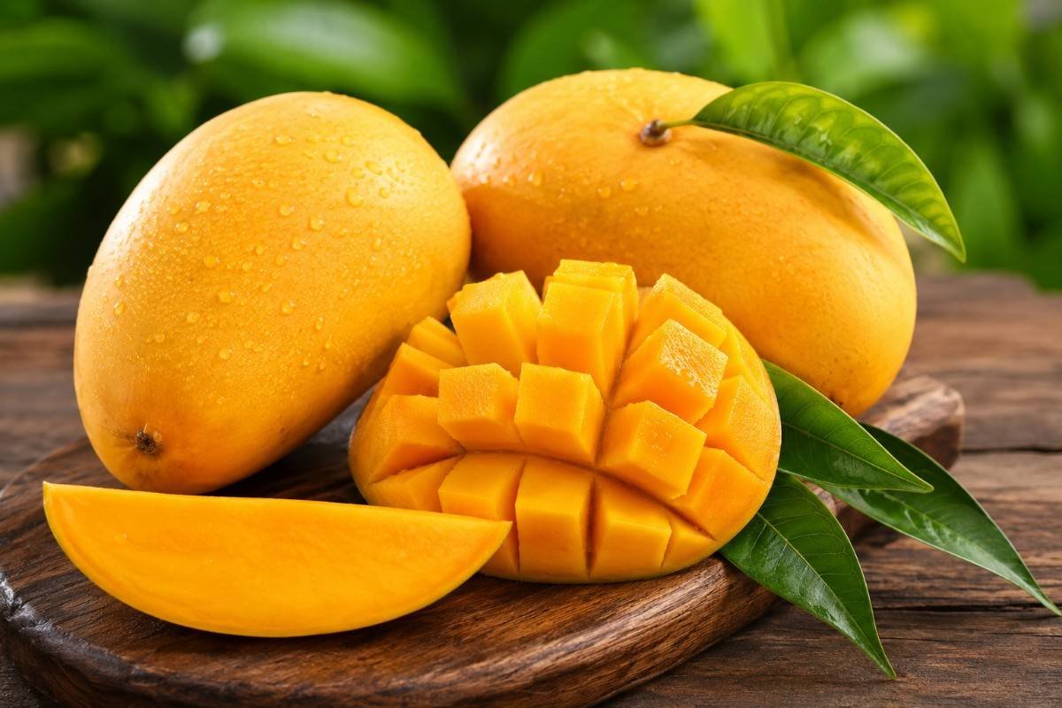 Mango