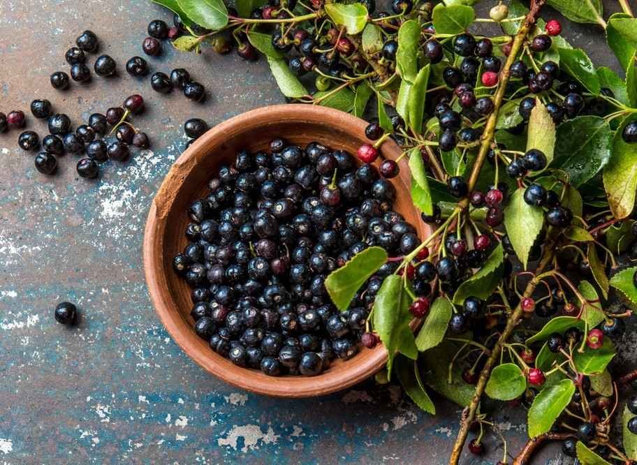 Maqui Berry