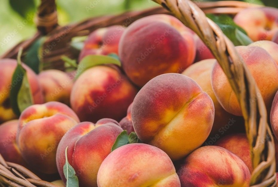 Peach