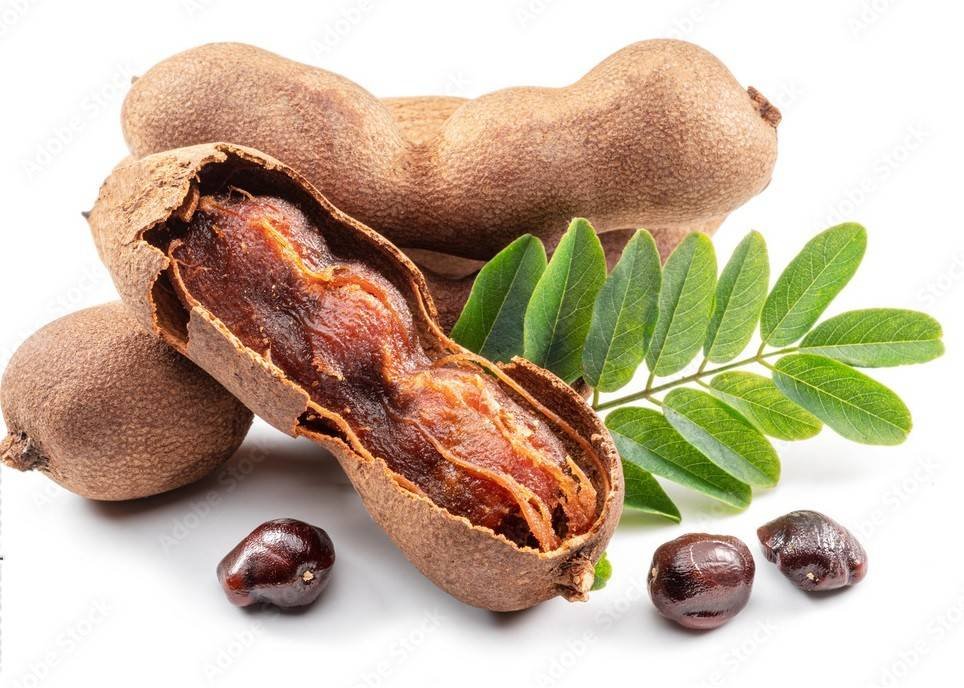 Tamarind