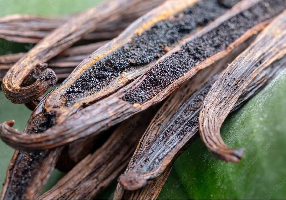 Vanilla