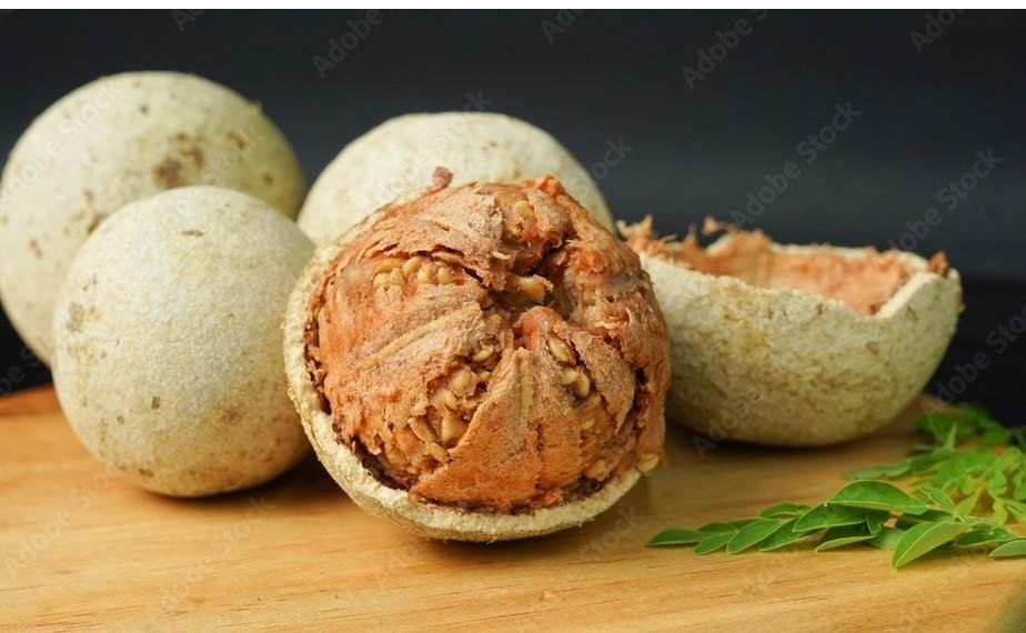 Wood Apple