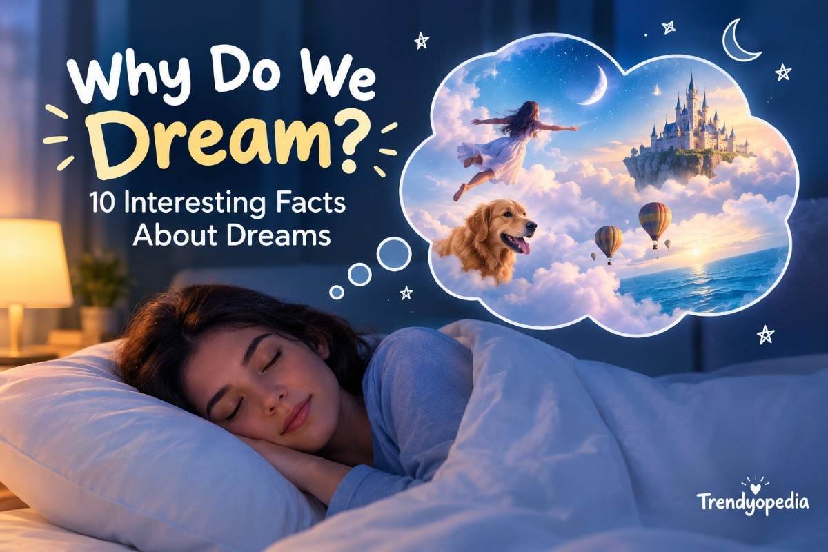 Why Do We Dream?