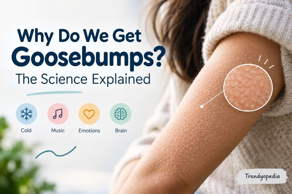 Why Do We Get Goosebumps?
